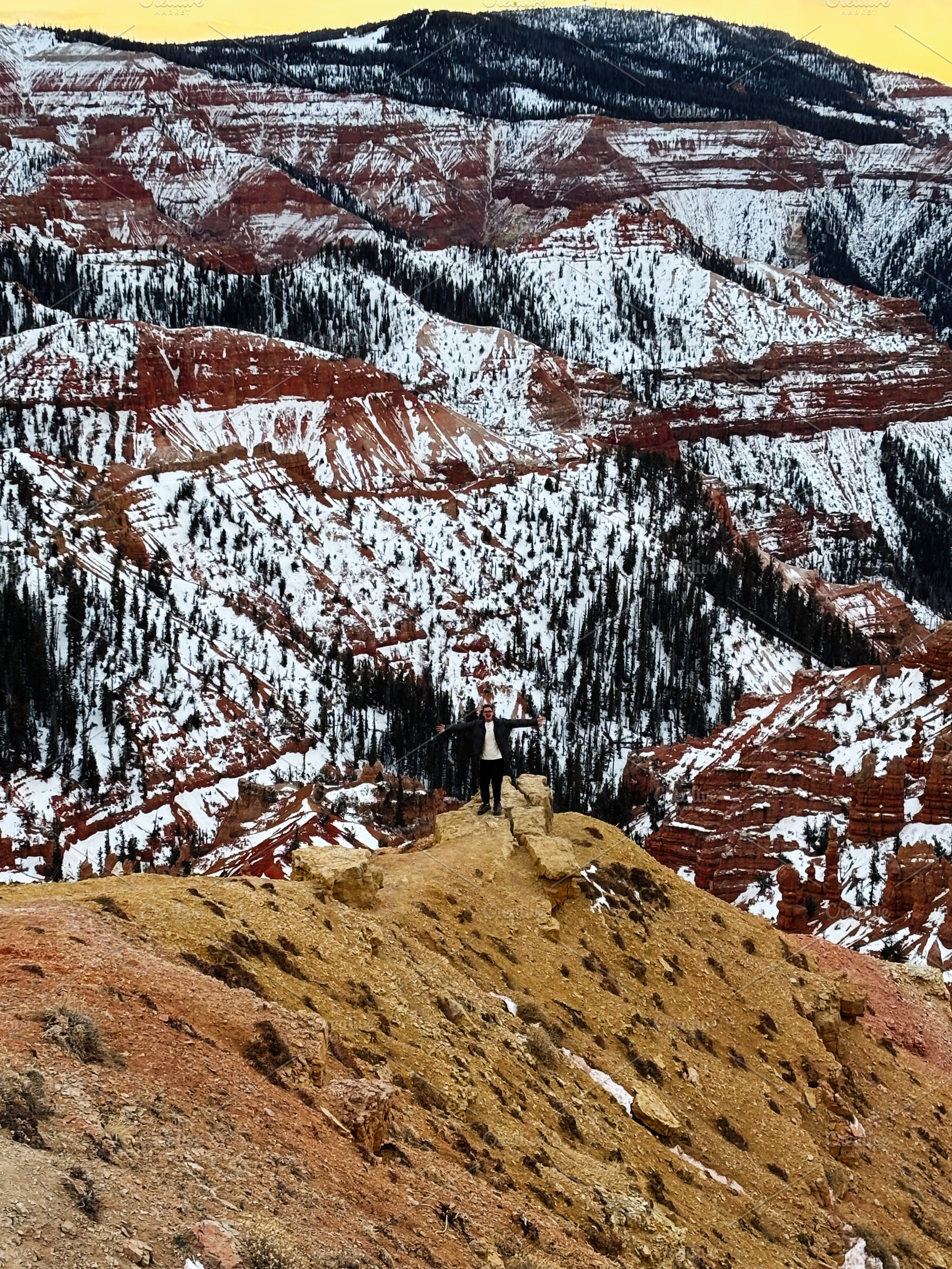 Man stands on a ledge amid snowy red canyons and pine forests in Utah USA. Zion, a Nature Photo by AS photostudio