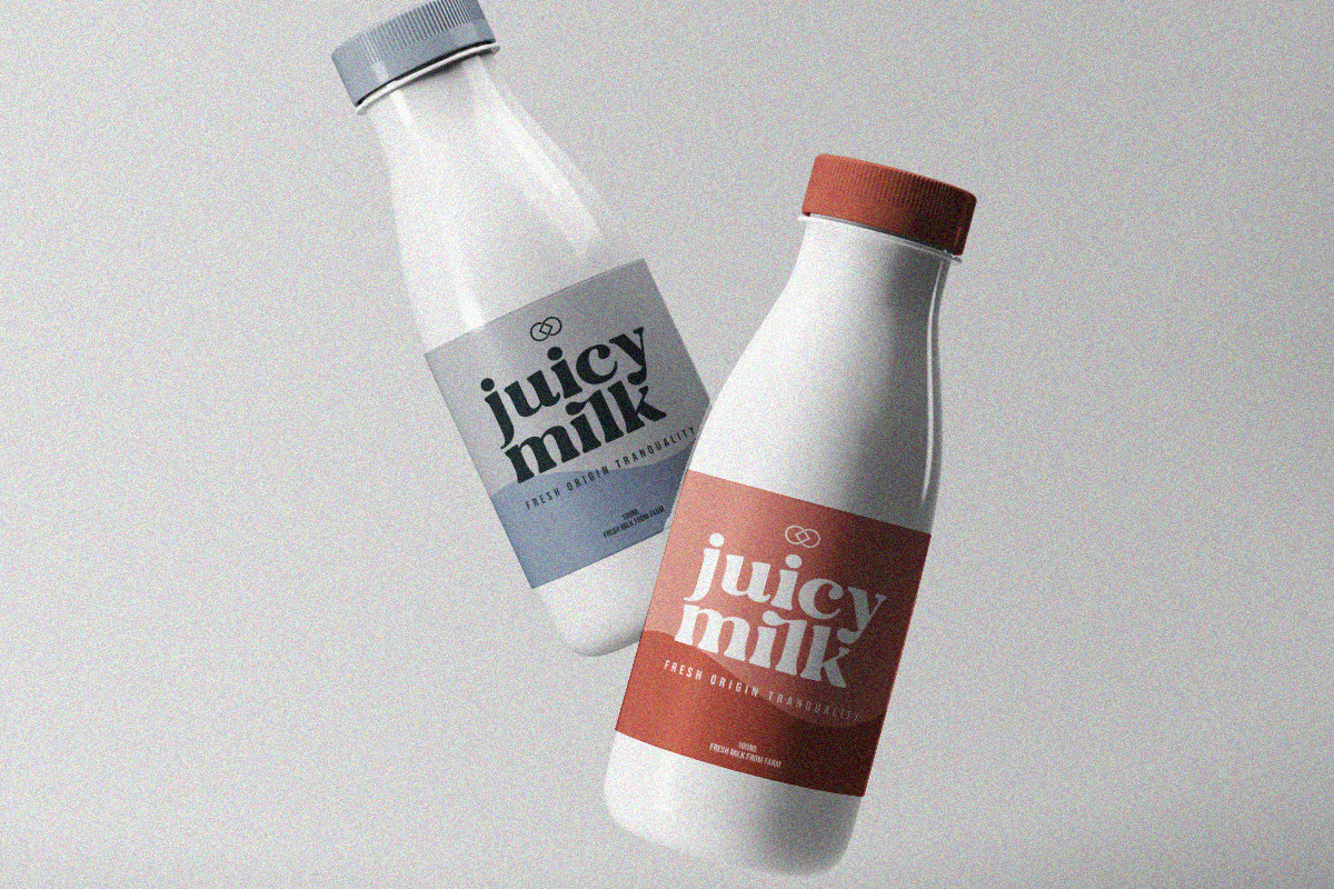 Folker Typeface, a Serif Font by Megatype (Photo 2 of 15)