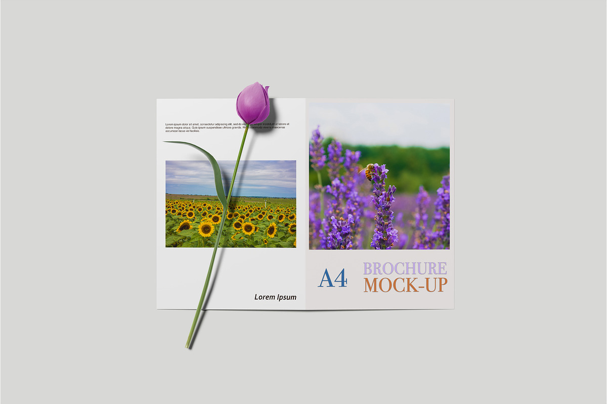A4 Bifold Brochure Mockup, a Print Template by Beside Std (Photo 8 of 11)