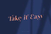 Tefis Font • 30% off, a Serif Font by vuuuds (Thumbnail 9 of 13)