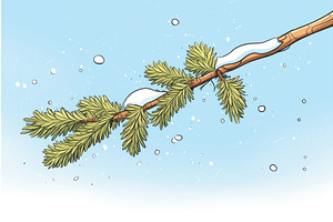 A Snow-laden Fir Tree Branch About