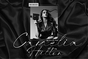Bhasline Signature, a Handwritten Font by Glyphstyle (Thumbnail 5 of 7)