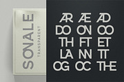 Erotick - Geometric Logo Font, a Serif Font by Dora Typefoundry (Thumbnail 5 of 16)