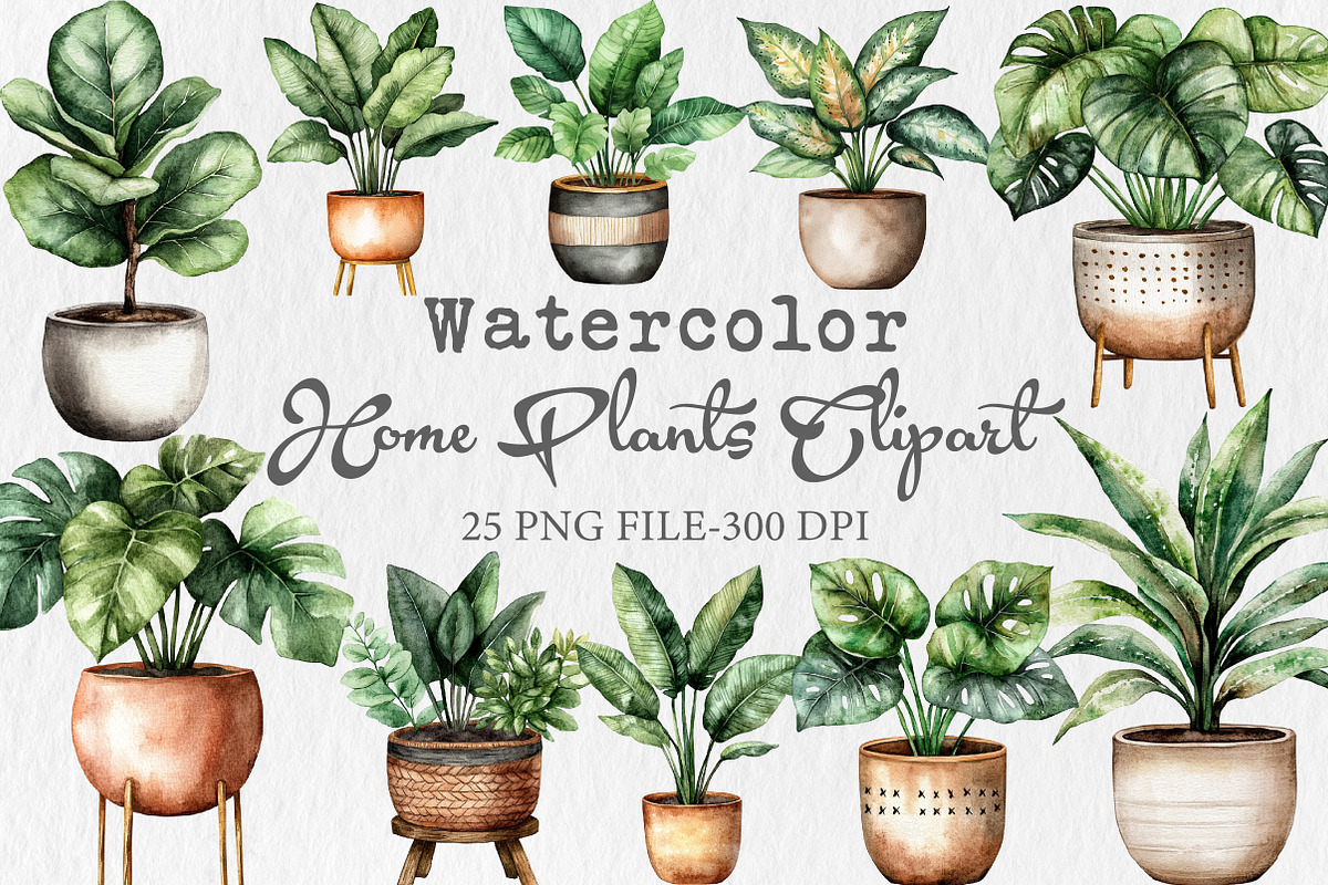 Watercolor Home Plants Clipart, an Illustration by Libby Wishes (Photo 1 of 7)