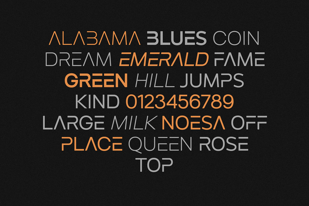 HAFUNTEN, a Sans Serif Font by OWL KING (Photo 6 of 8)