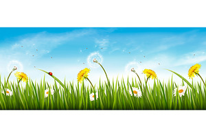 Nature Spring Panorama With Grass.