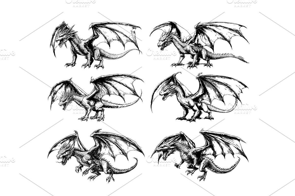 Black ink sketch flying dragons, an Animal Illustration by Stock-Smart-Start