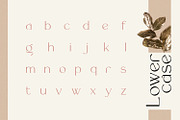 Rollgates Luxury, a Sans Serif Font by Cotbada_studio (Thumbnail 9 of 12)