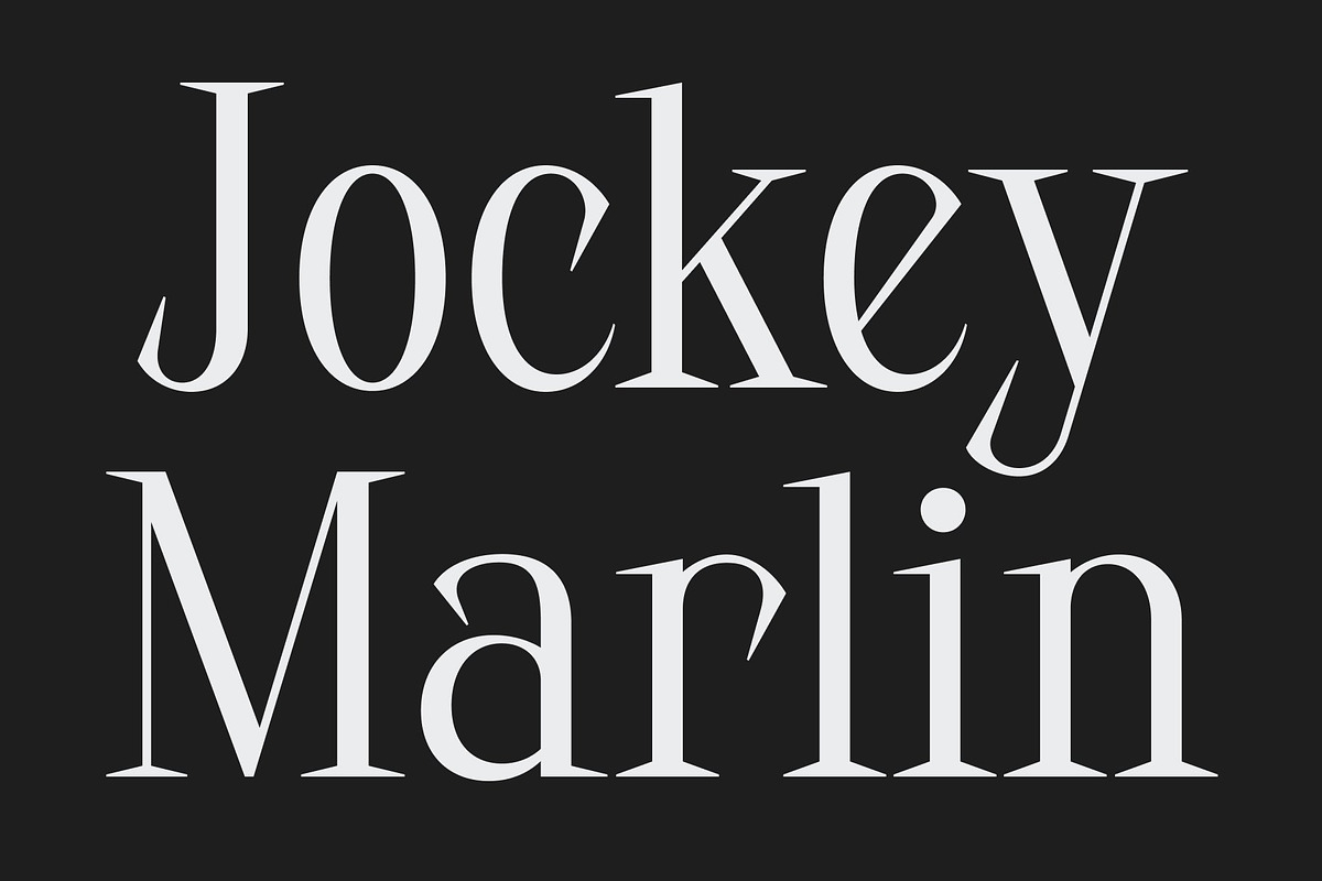 CS Harith – Modern Serif Font, a Serif Font by Craft Supply Co. (Photo 4 of 8)
