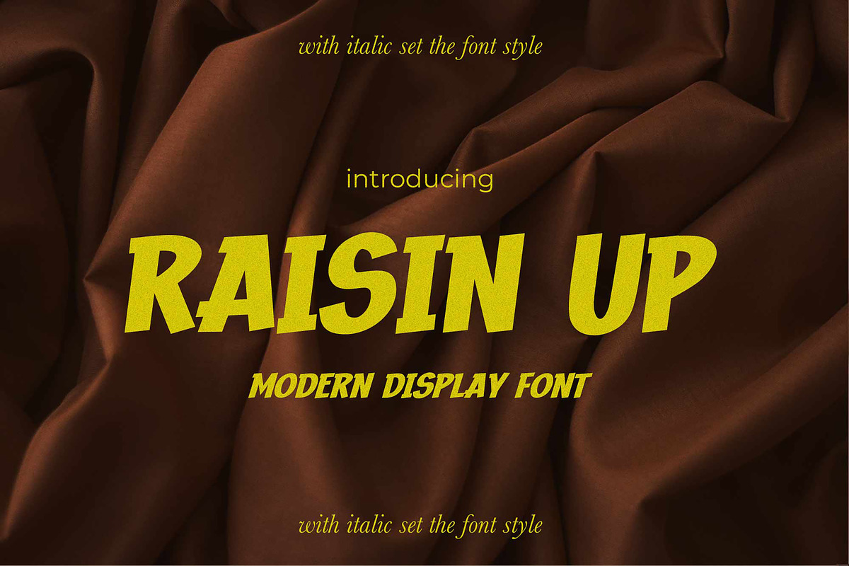 RAISIN UP - Modern Display Font, a Font by Gassstype (Photo 1 of 8)