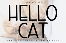 Hello Cat