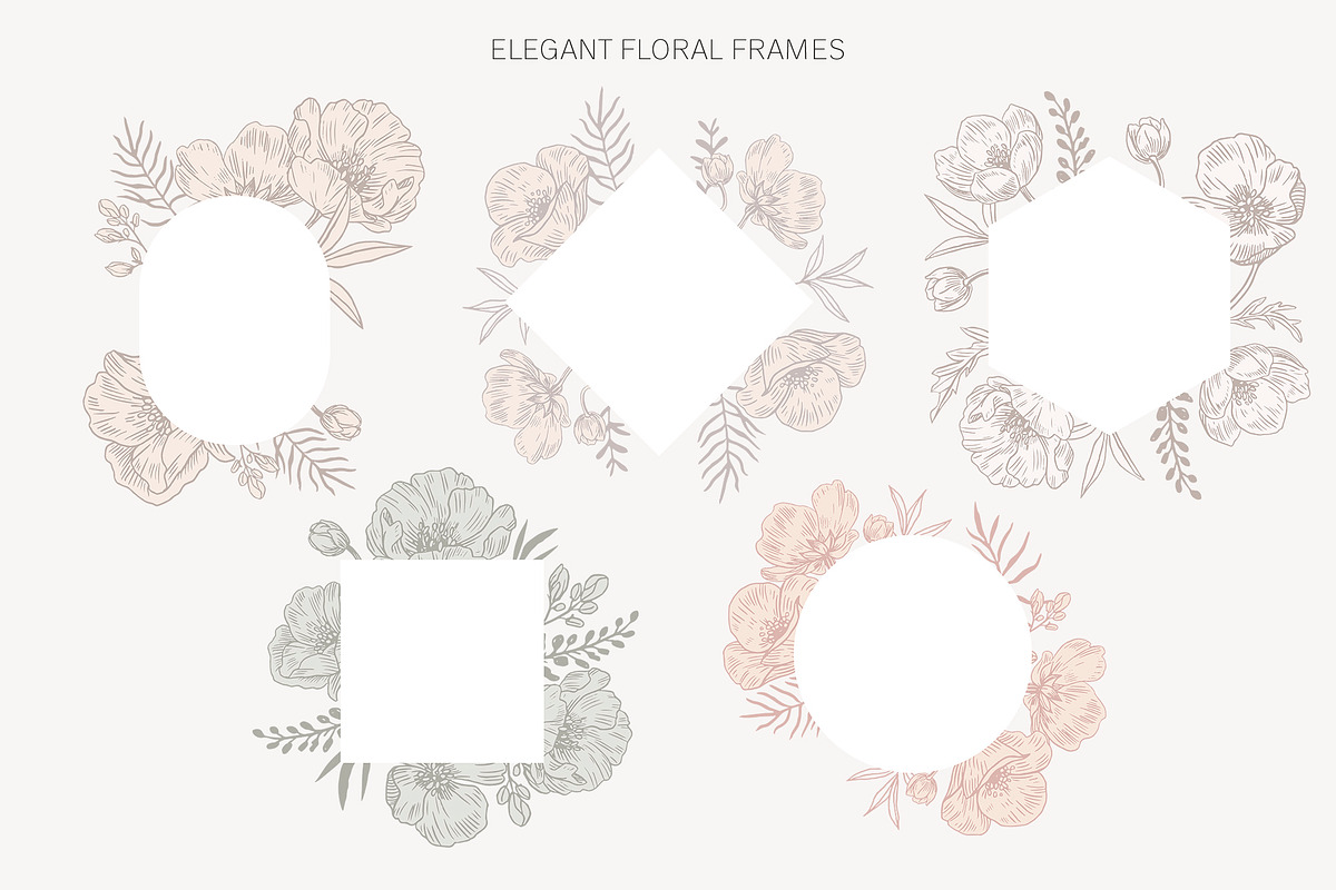 Elegant Poppies Spring flowers, an Illustration by ms Julia Nova (Photo 6 of 7)