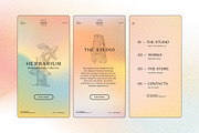 IRID - Animated Gradients Background, a Social Media Template by Sparrow & Snow (Thumbnail 14 of 19)