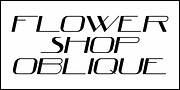 Flower Shop JNL, a Font by Jeff Levine Fonts (Thumbnail 4 of 5)