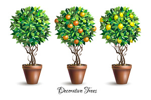 Decorative trees in pots.