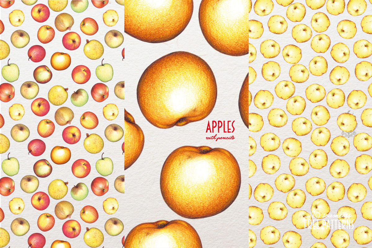 Apples With Colour Pencils + Bonus, a Food Illustration by Andrea Tardivo (Photo 13 of 15)