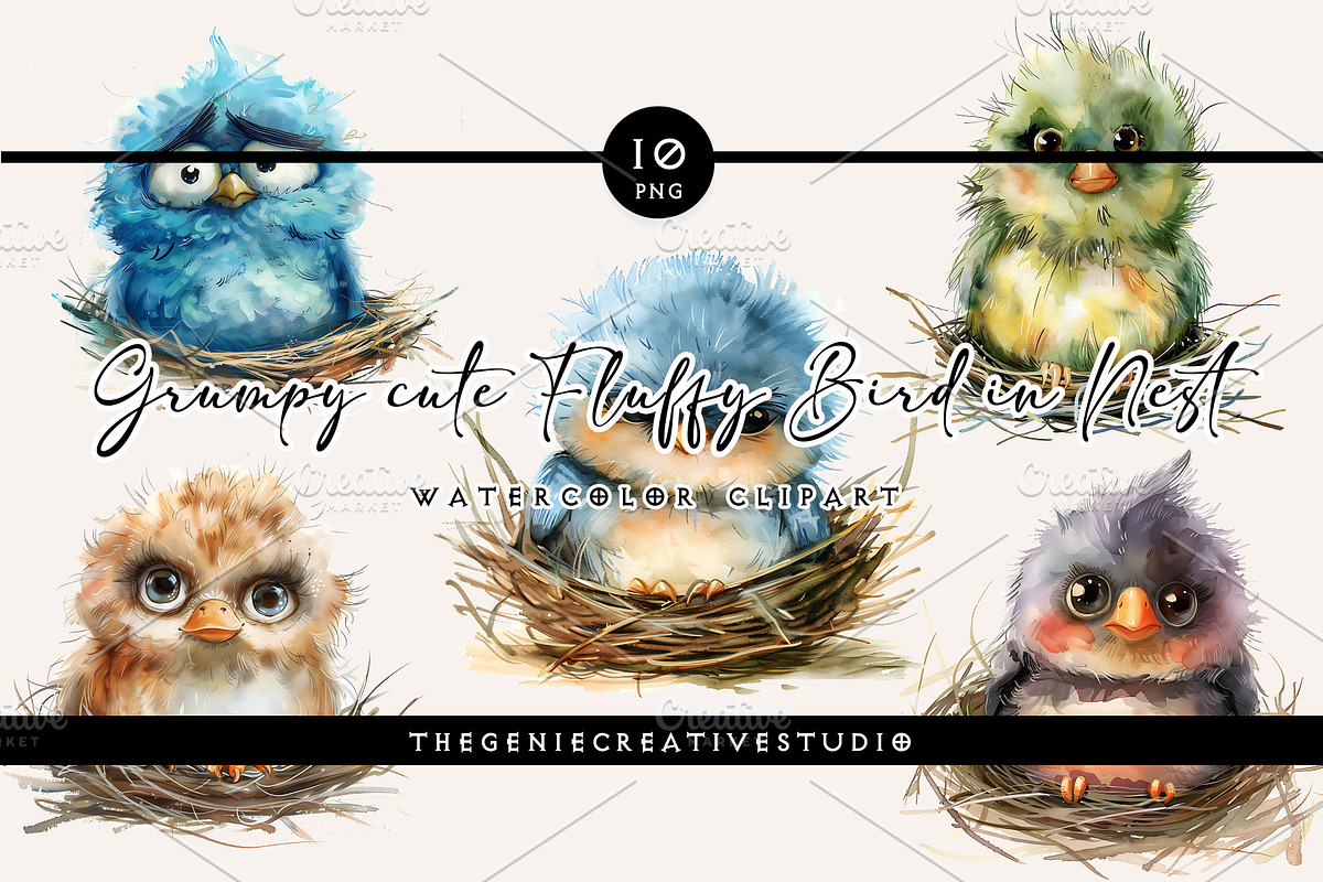 Grumpy Bird in Nest PNG Clipart, an Animal Illustration by Geniecreativestudio (Photo 1 of 9)