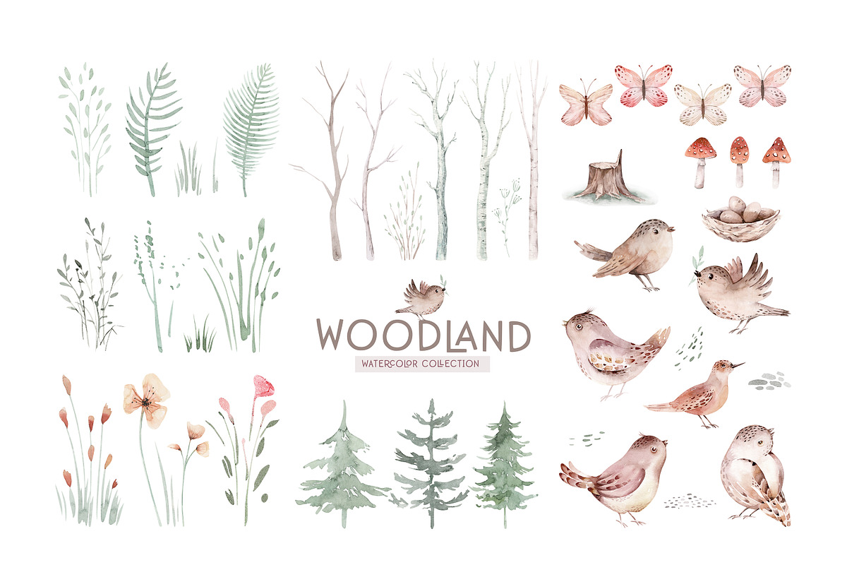 Watercolor woodland collection, an Animal Illustration by Peace ART (Photo 4 of 14)