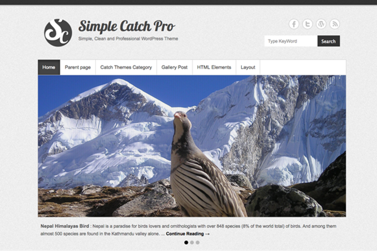 Simple Catch Pro, a WordPress Template by Catch Themes (Photo 1 of 3)