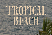 Lamoonze - Serif Display Font, a Serif Font by Randi Irvan | Rvandtype (Thumbnail 7 of 14)