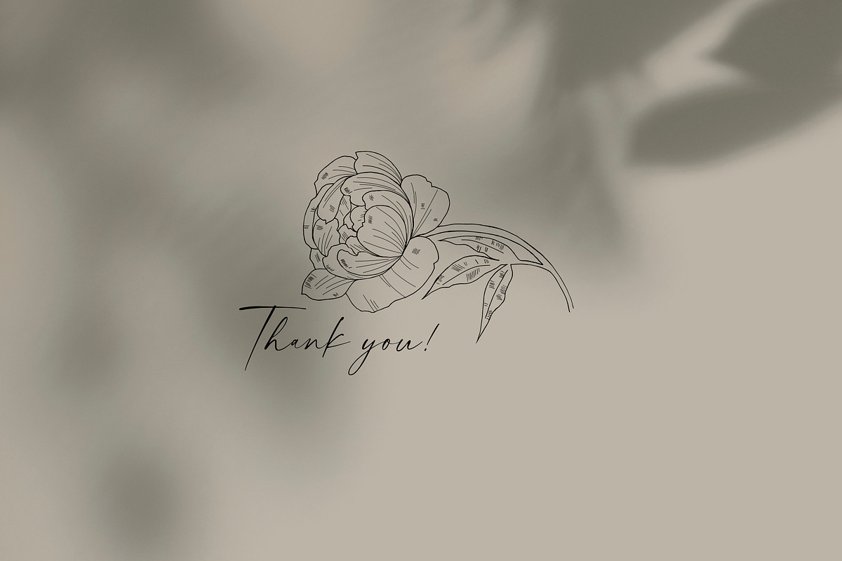 Peony Line Illustration - Flower Art, an Illustration by Ooh Lily (Photo 12 of 12)