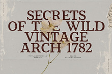 Bramwell - Vintage Serif