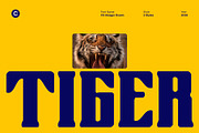 CS Alsager Drawn, a Serif Font by Craft Supply Co. (Thumbnail 7 of 8)