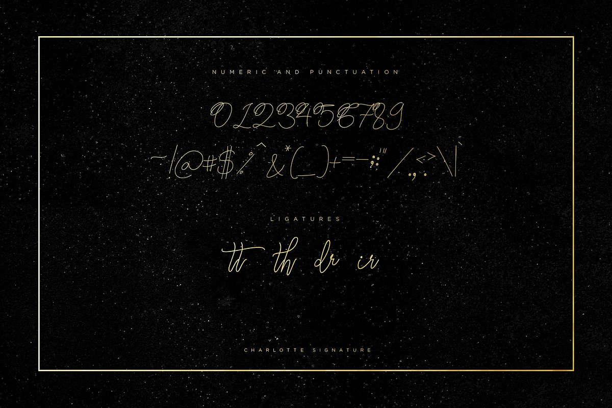 Charlotte Script, a Script Font by Chocotype Std (Photo 6 of 10)