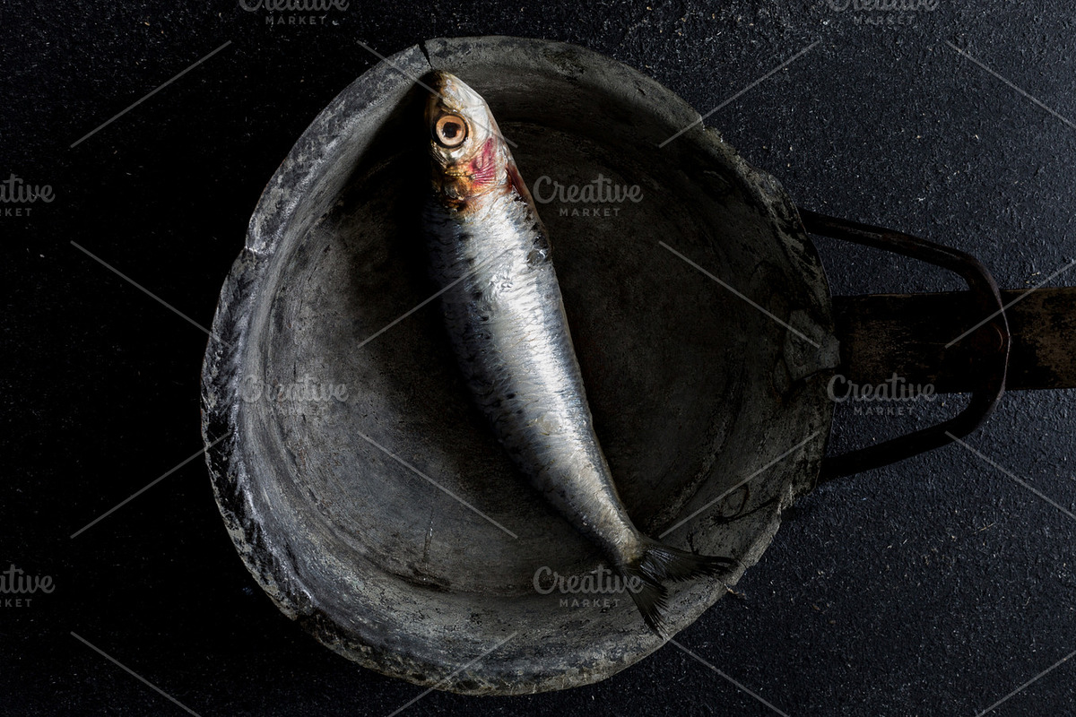 Feeling Catch, a Templates & Theme by Feelings (Photo 6 of 7)