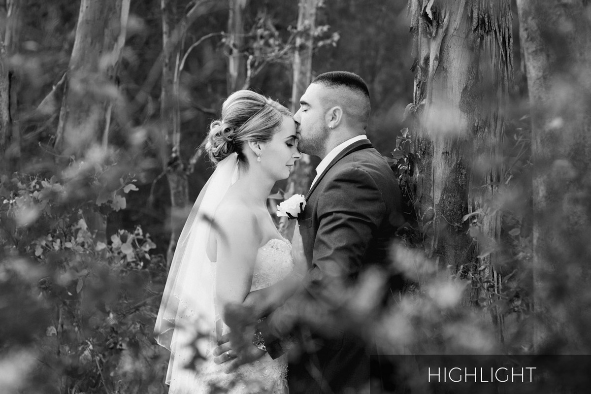 Black and White Lightroom Presets, a Plug-in Add-On by h.utomo (Photo 6 of 10)