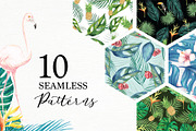 Tropical Collection, a Decorative Illustration by endita (Thumbnail 3 of 14)