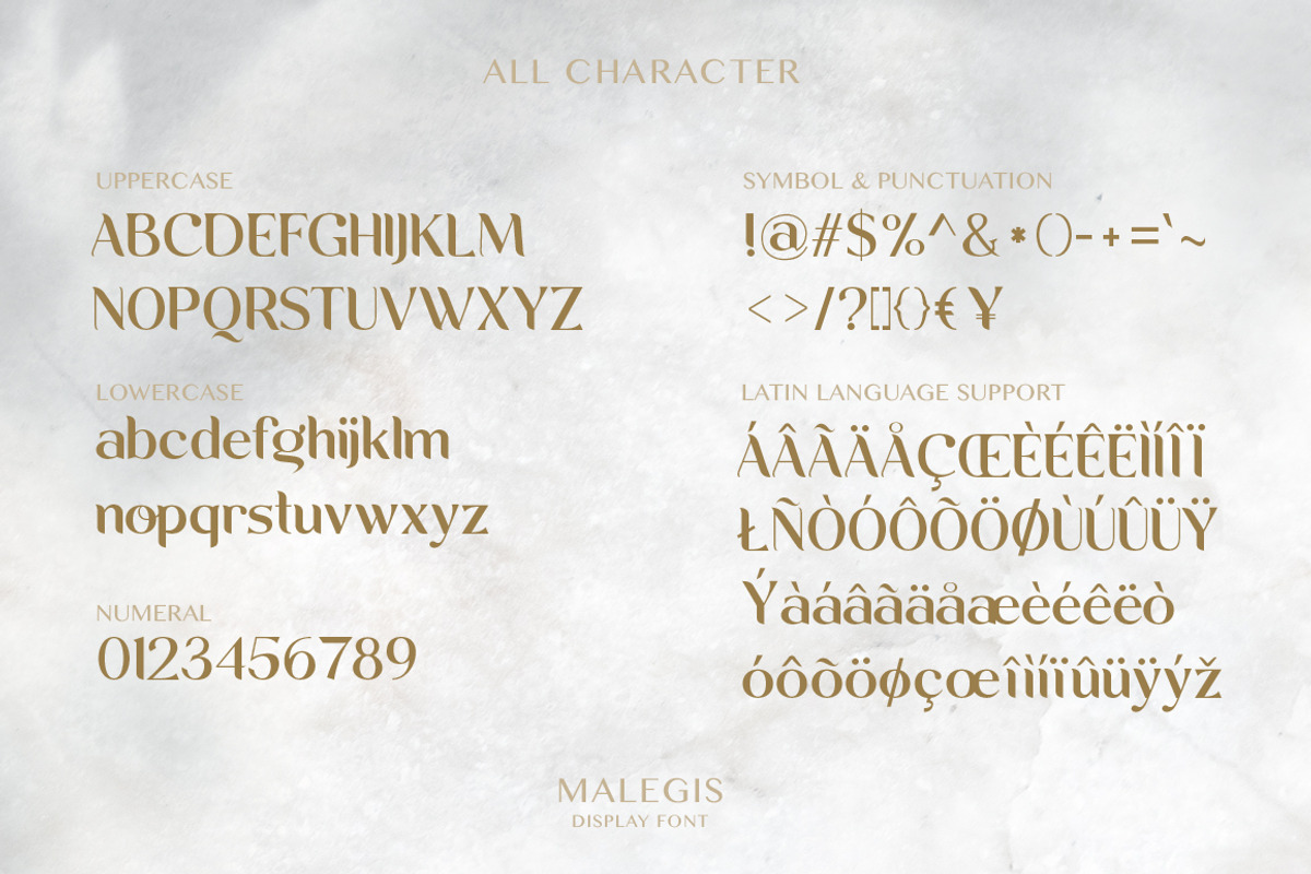 Malegis, a Sans Serif Font by Skypia (Photo 11 of 13)