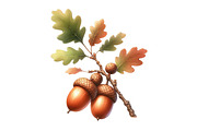 Watercolor Acorns & Oak Leaves PNG, an Illustration by Designking (Thumbnail 4 of 4)