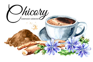 Chicory. Watercolor collection, a Food Illustration by Daria Ustiugova