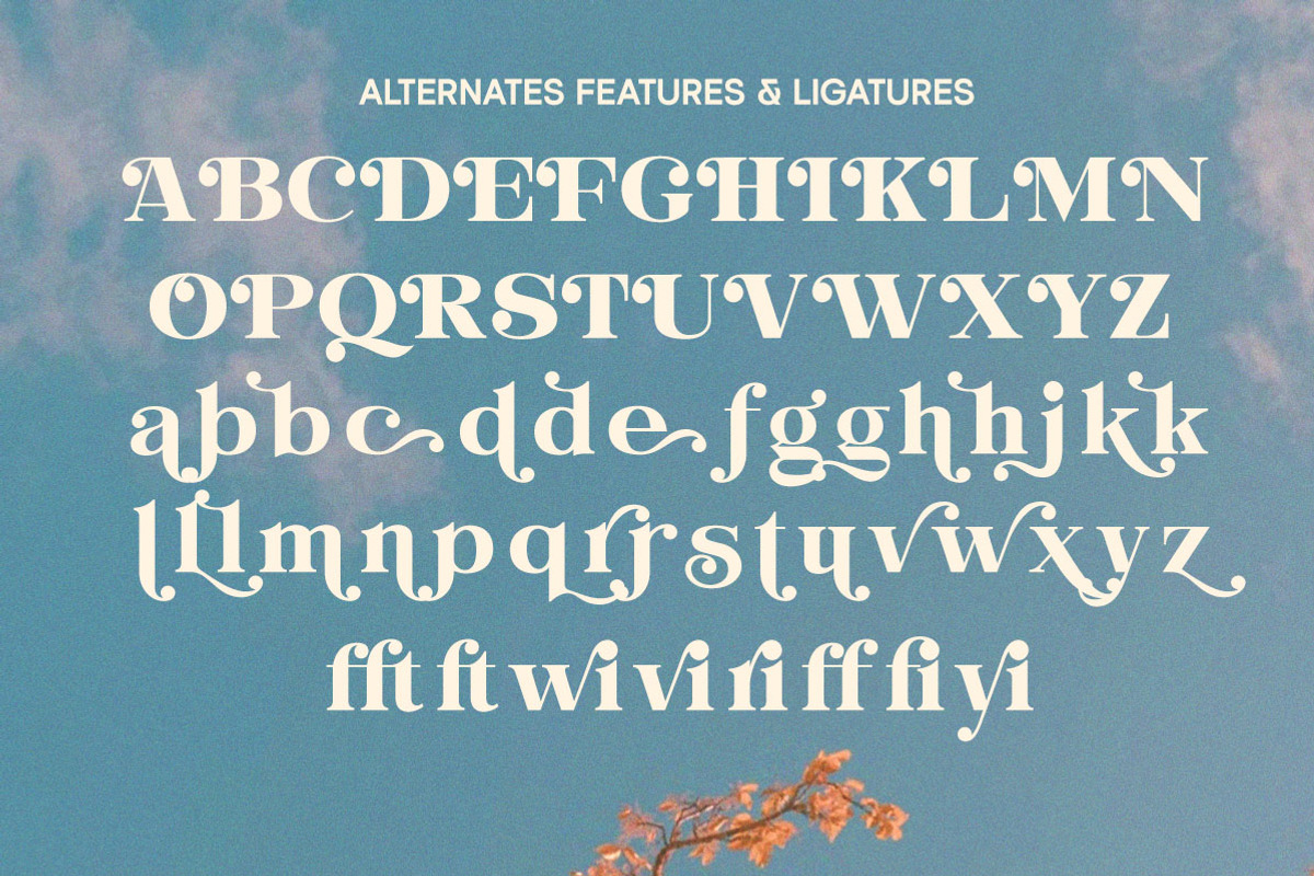 Evorine Stylish Serif, a Serif Font by Letterhend Studio (Photo 9 of 11)