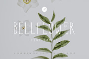 Bellflower Font, a Sans Serif Font by Lilac Paperie (Thumbnail 1 of 5)
