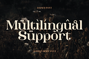 Dainey Modern Serif Font, a Serif Font by Graphue (Thumbnail 2 of 9)
