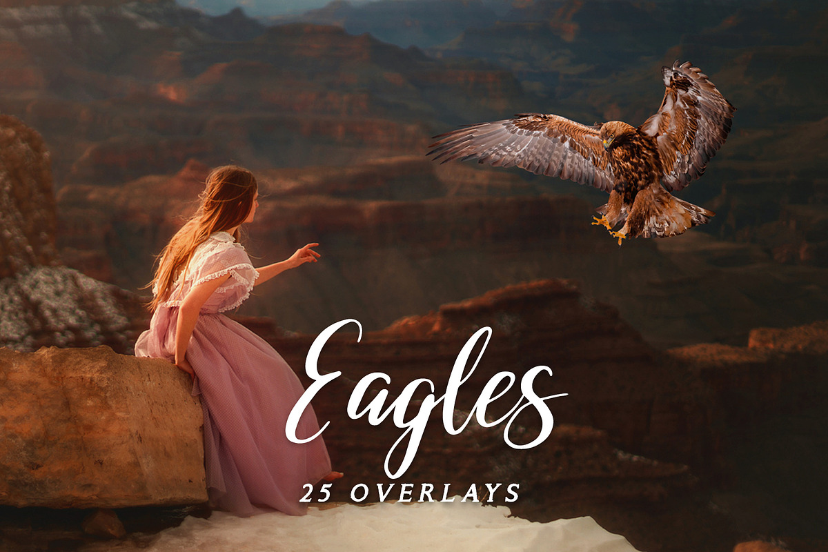 Bald Eagle Overlays, an Object Graphic by DreamyOverlay (Photo 1 of 4)