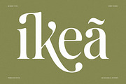 The Andalucia Serif, a Serif Font by Pista Mova (Thumbnail 9 of 26)