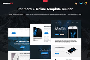 Panthera Online Template Builder