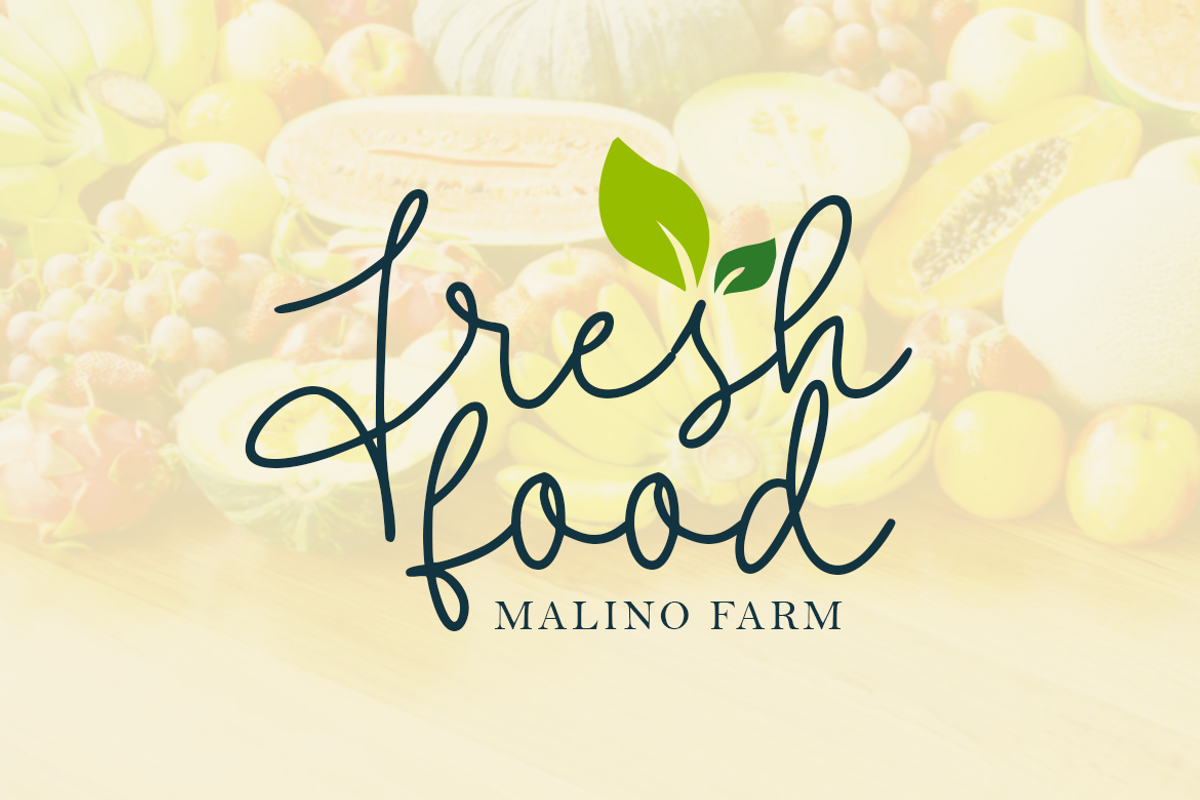 Shallylova | A Lovely Monoline Font, a Script Font by Colllab Studio (Photo 10 of 12)