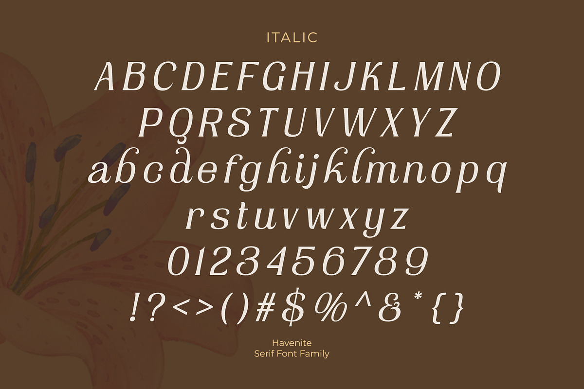 Havenite, a Serif Font by din-studio.com (Photo 11 of 16)