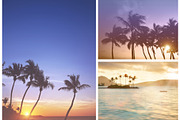 Tropical Island Photo Pack, a Background Photo by kristiangallagher (Thumbnail 2 of 3)