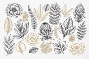 Rare plant collection, a Decorative Illustration by adehoidar (Thumbnail 2 of 7)