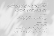 Gladista Arabela Beauty Calligraphy, a Script Font by Storytype Studio (Thumbnail 12 of 15)