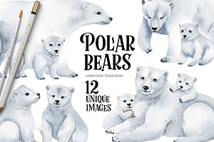 Polar bears-watercolor illustrations