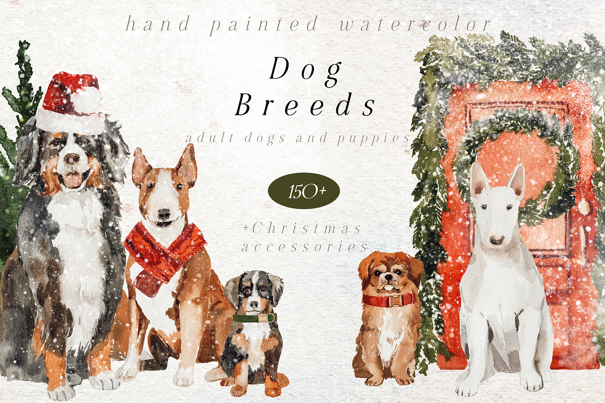 Dod Breeds - watercolor set, an Animal Illustration by Youksy (Photo 1 of 18)