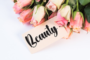 Getback | Script Font, a Handwritten Font by Scratchones (Thumbnail 3 of 9)