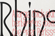 Reina Sofia - Vintage Display Serif, a Serif Font by SilverStag Type Foundry (Thumbnail 26 of 30)