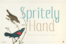 Spritely Hand — Organic Display Font